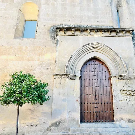 Charming In The Wonders Of * Cordoba
